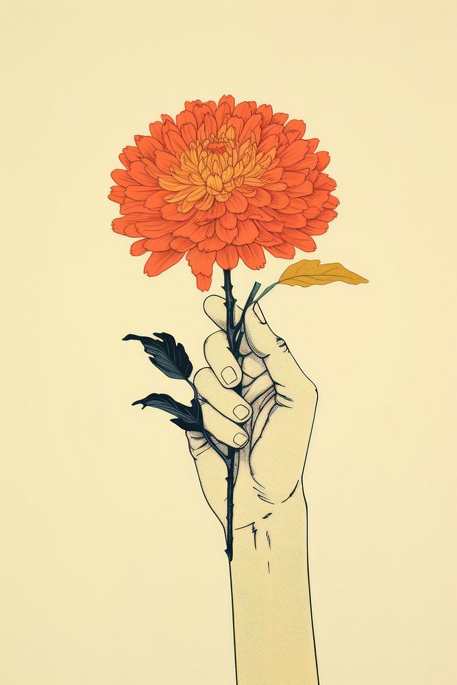 Hand holding Calendula flower art drawing.