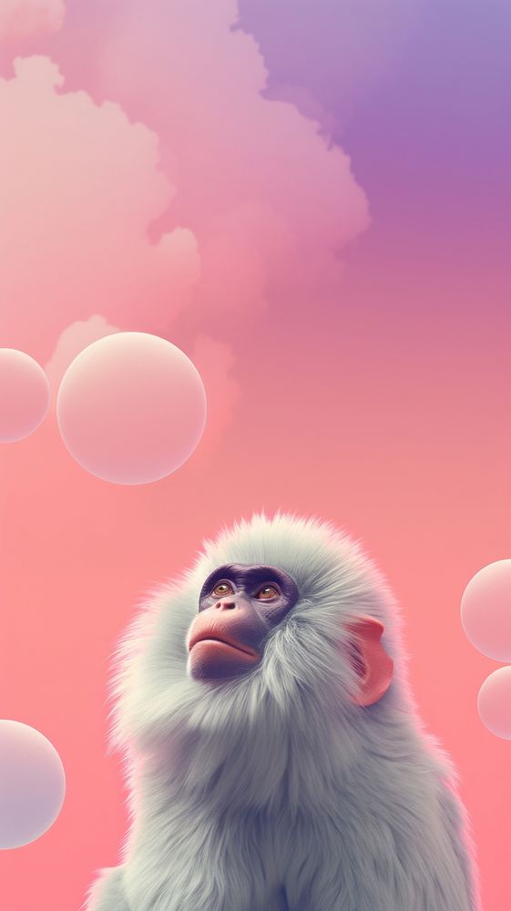 Cute mandrill dreamy wallpaper animal monkey cartoon.