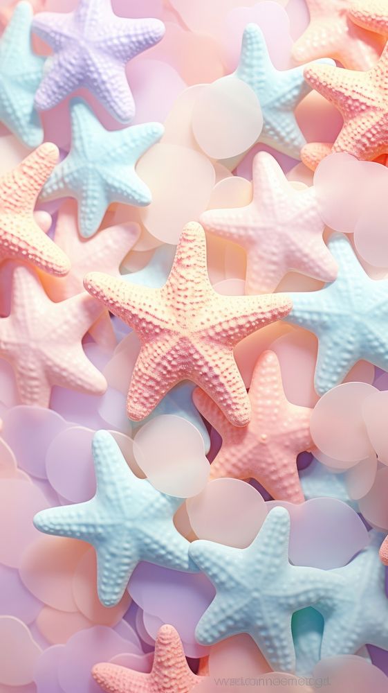 Fluffy pastel starfish invertebrate backgrounds echinoderm.