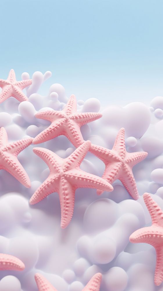 Fluffy pastel starfish invertebrate transparent backgrounds.