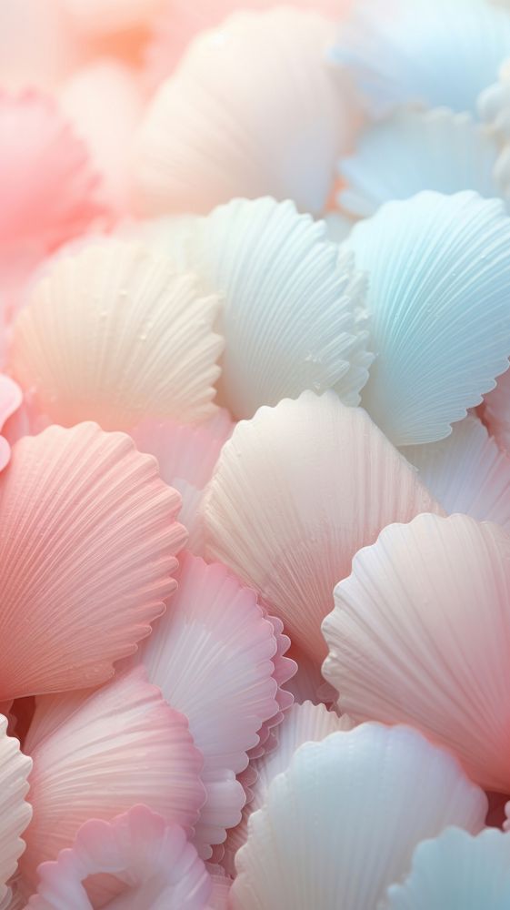 Fluffy pastel sea shell petal invertebrate backgrounds.