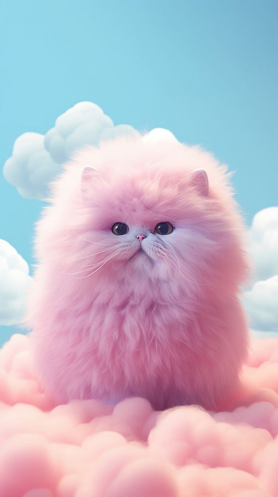 Fluffy pastel persian cat mammal animal cute.