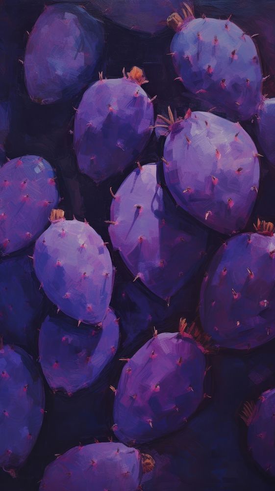 Purple cactus fruit backgrounds accessories freshness.