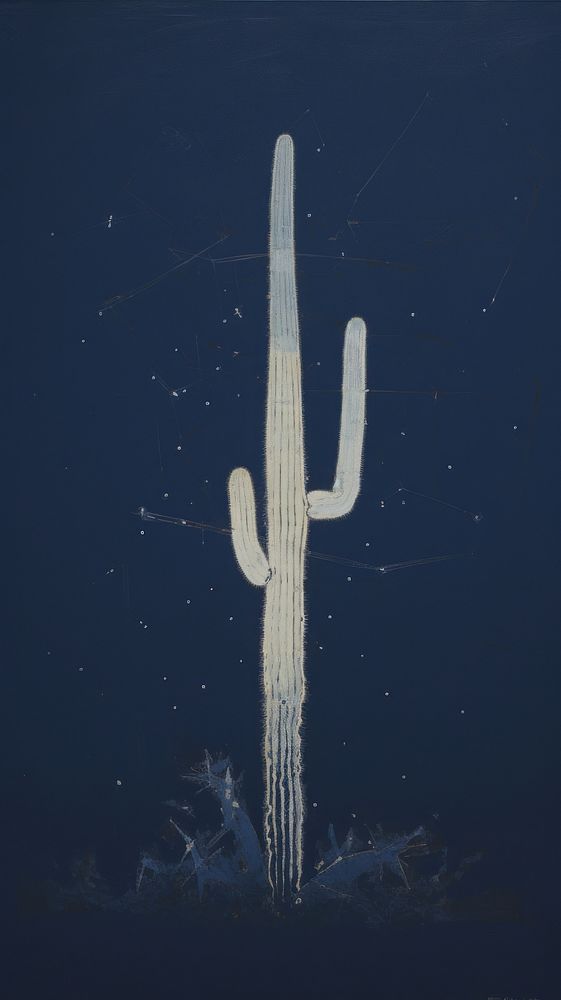 Saguaro cactus with Christmas lights in the desert at night outdoors plant saguaro cactus.