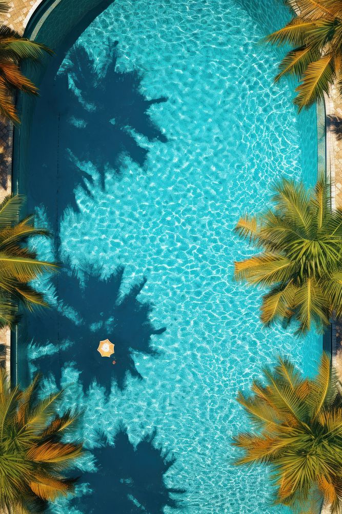 Swimming pool with a palm outdoors nature tree.