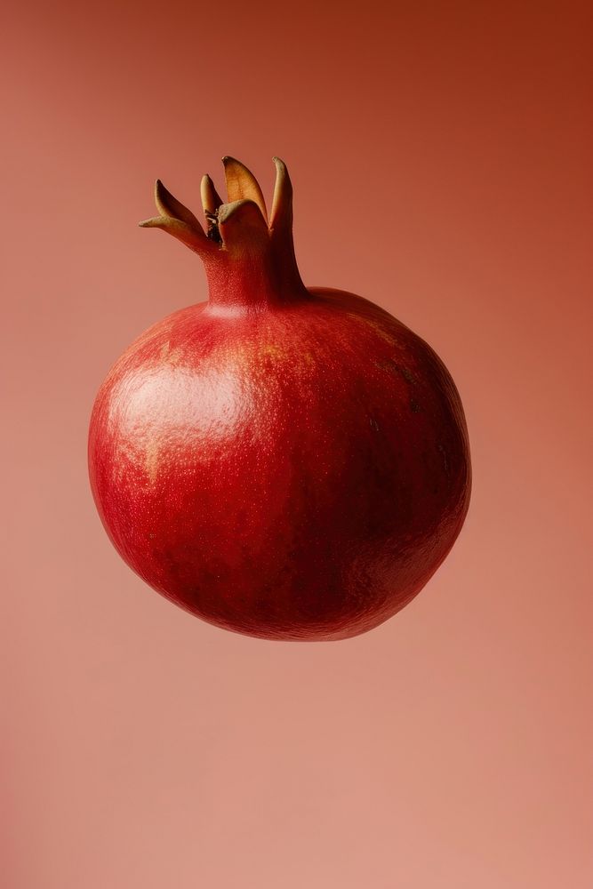 Photo of pomegranate fruit plant food.