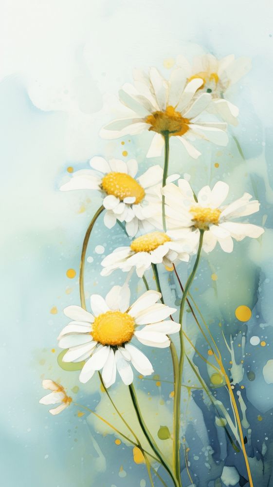 Chamomile painting blossom flower.