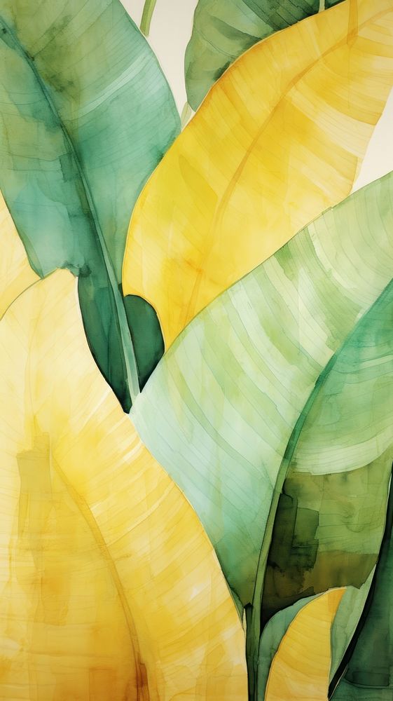 Banana leaves abstract plant leaf.