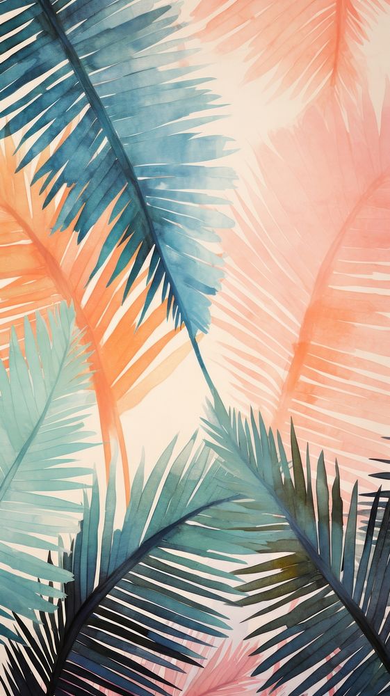 Palm tree leaves abstract outdoors nature.