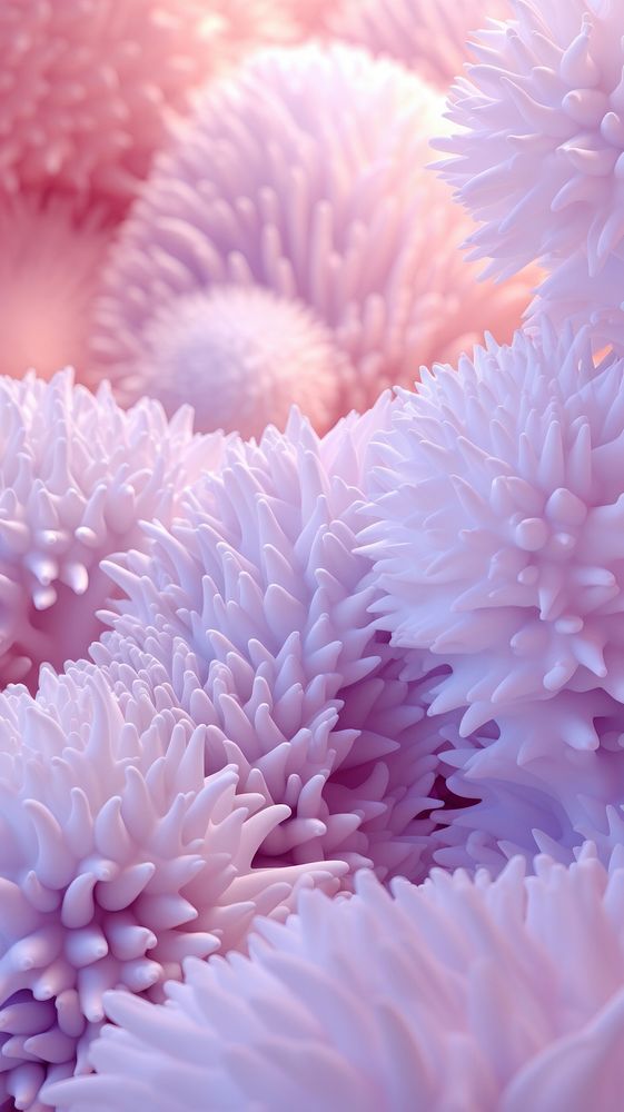 Purple coral nature flower petal.