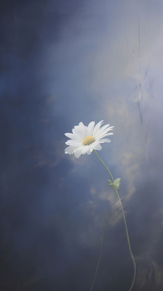 Acrylic paint of daisy outdoors nature flower.
