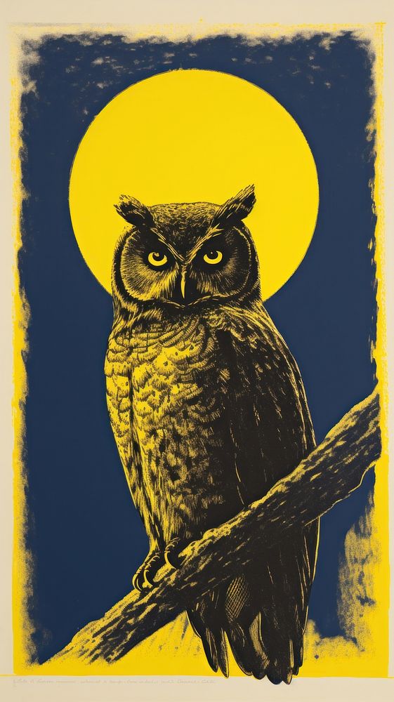 Owl animal yellow bird.