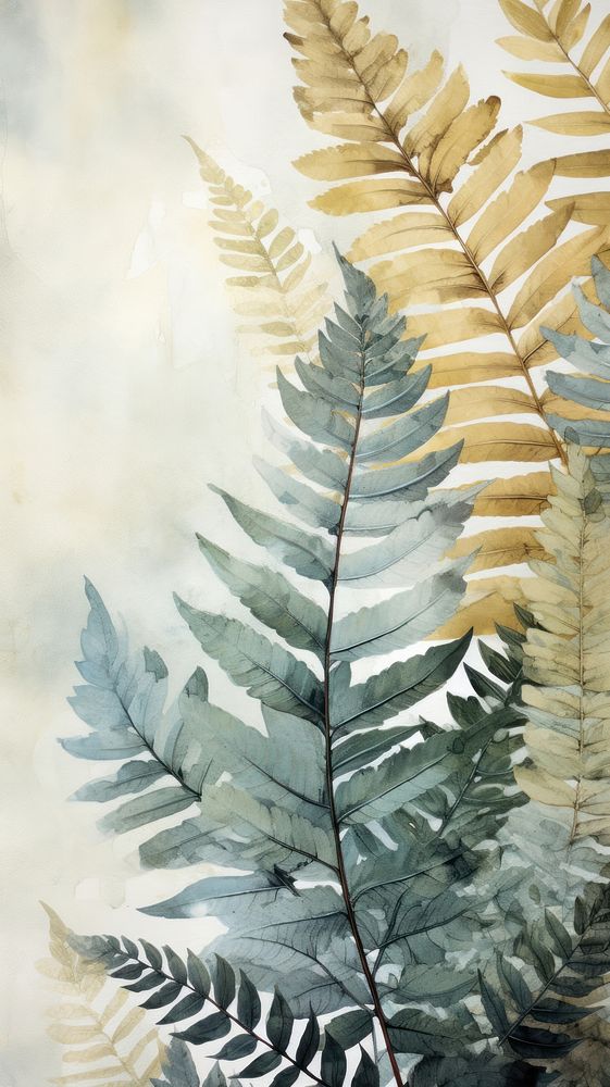 Fern plant leaf backgrounds.