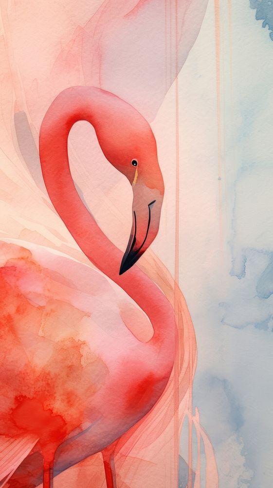 Flamingo animal bird creativity.