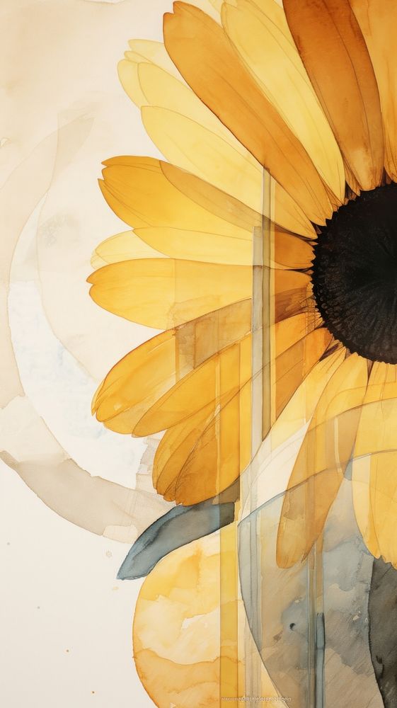 Sunflower painting petal plant.