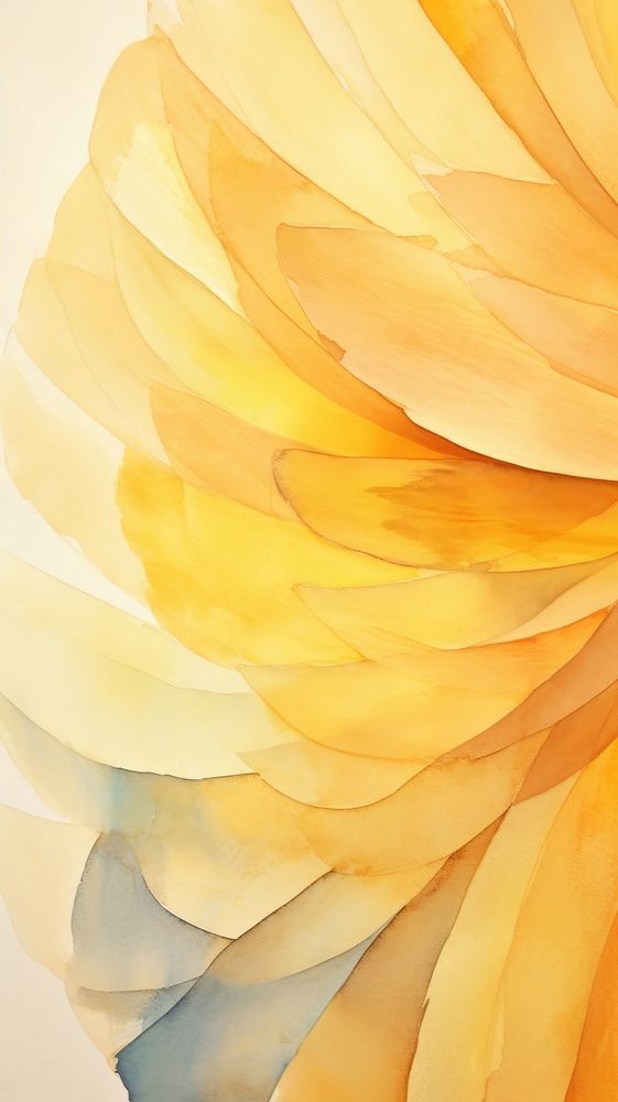 Sunflower abstract petal backgrounds.