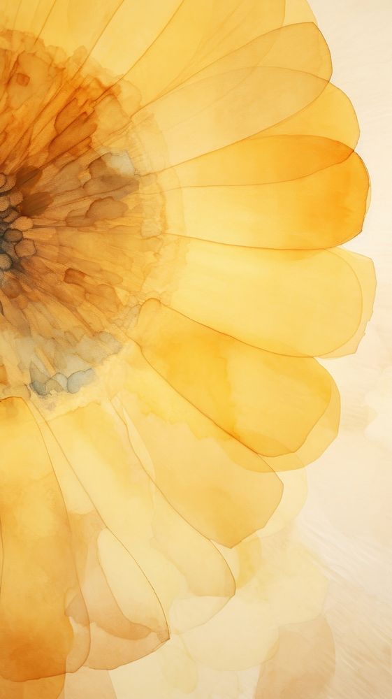 Sunflower abstract petal plant.