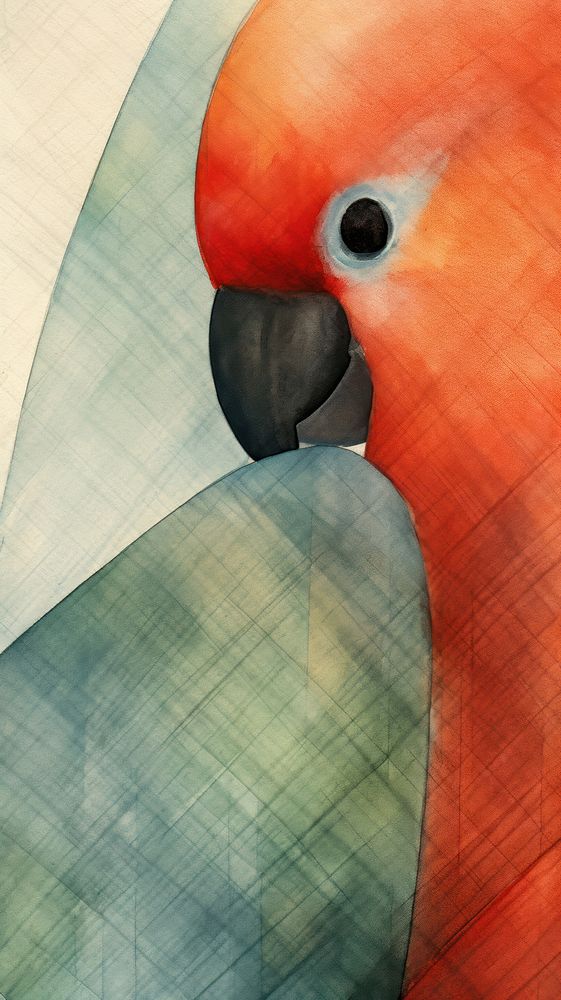Parrot bird beak backgrounds.
