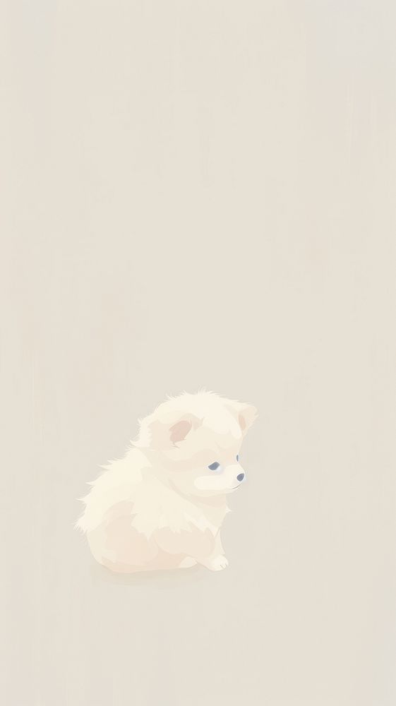 Cute puppy wallpaper mammal animal white.