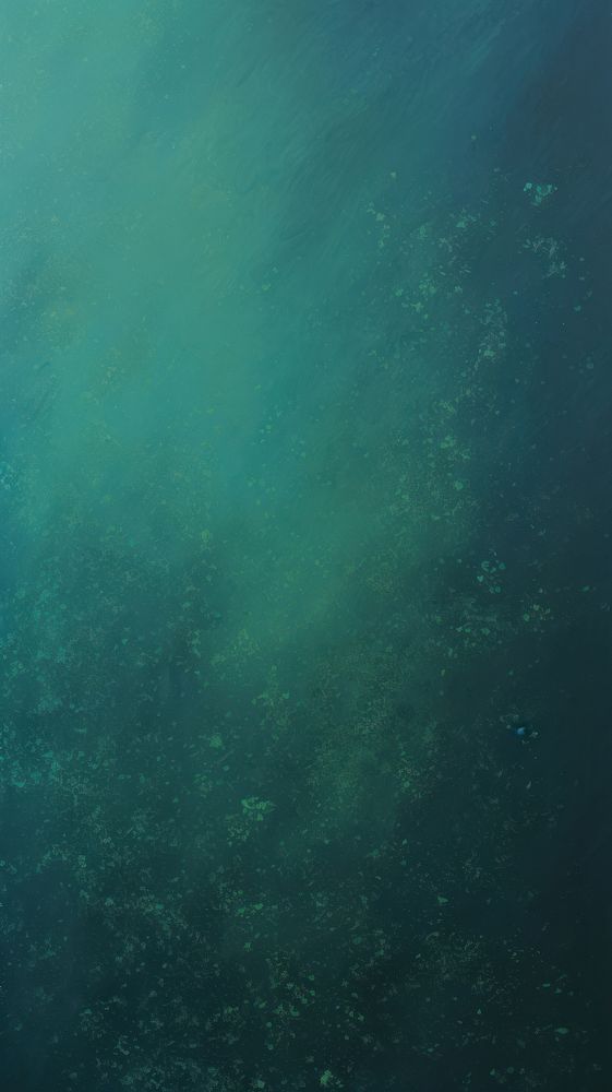 Underwater outdoors nature ocean.