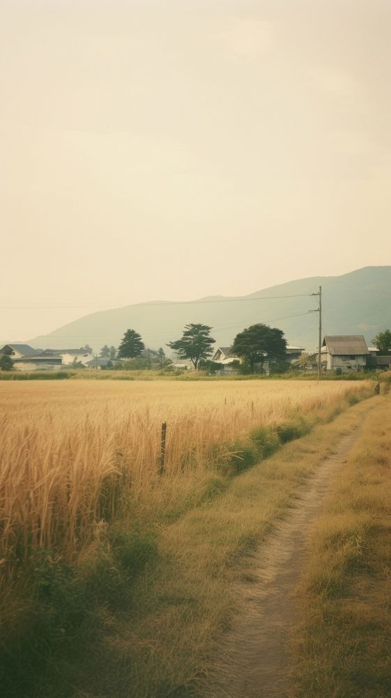 Japan country side 1990s movie landscape architecture grassland outdoors.