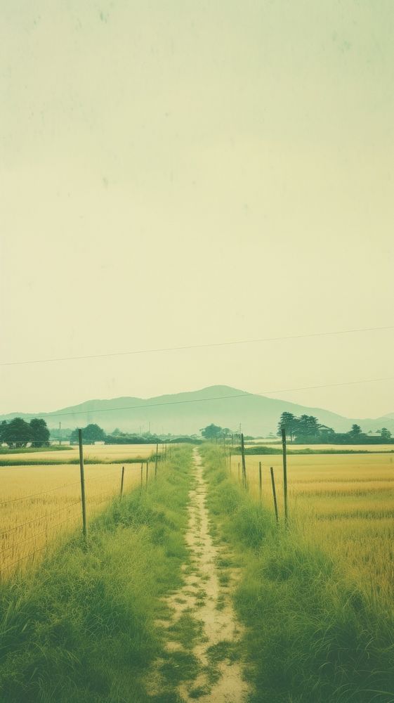 Japan country side 1990s movie landscape agriculture photography grassland.