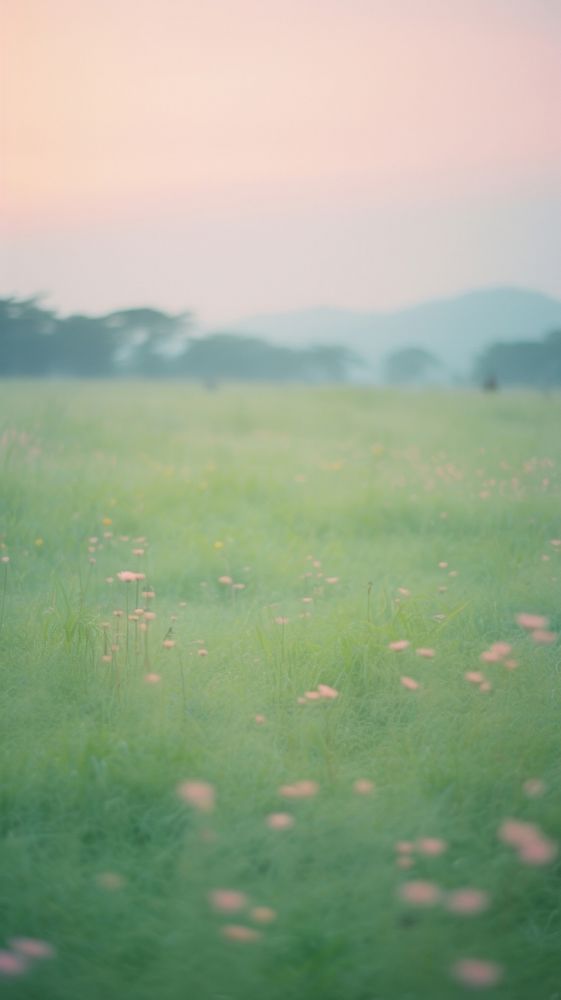 Meadow grassland outdoors pasture.