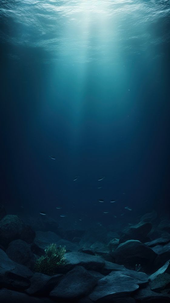 Underwater outdoors nature sea.