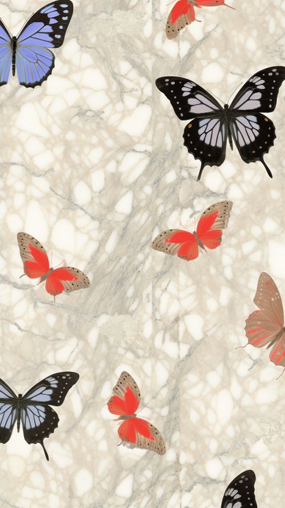 Butterflys marble wallpaper backgrounds animal insect.