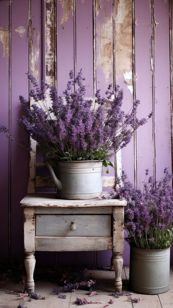 Lavender blossom flower purple.