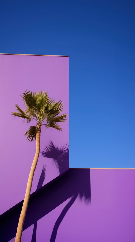 High contrast purple Facade architecture outdoors nature.