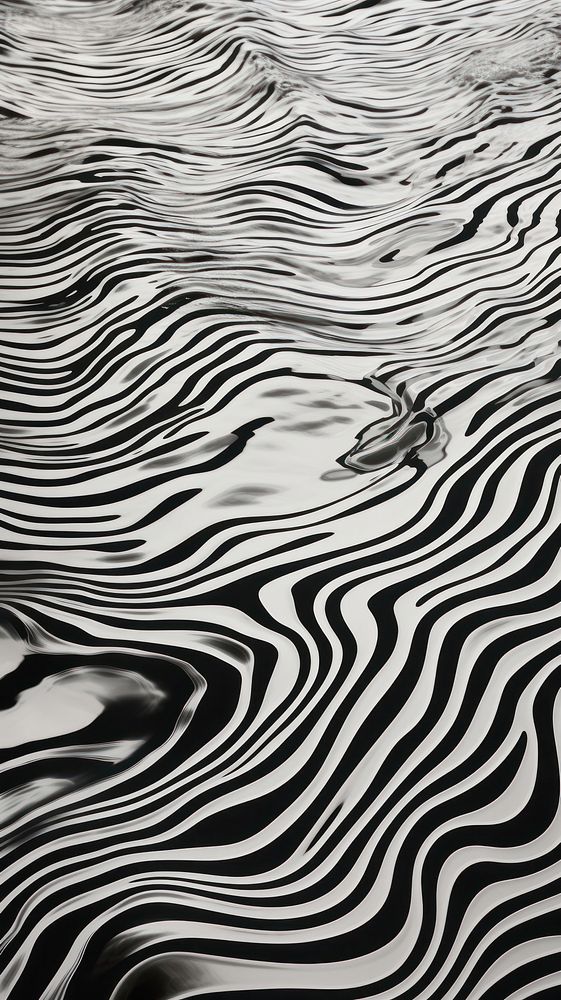 Top view of black and white abstract pattern in water with ripples outdoors nature zebra.