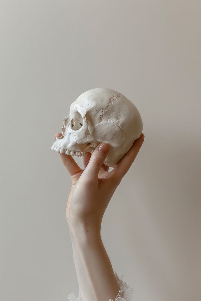 Hand holding a human skull finger photo photography.