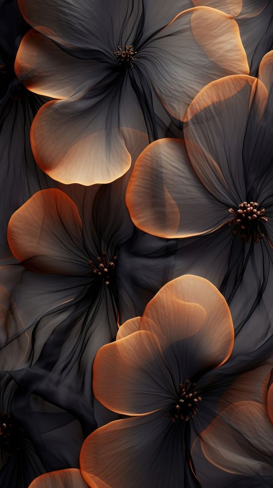 Black flowers wallpaper abstract pattern petal.