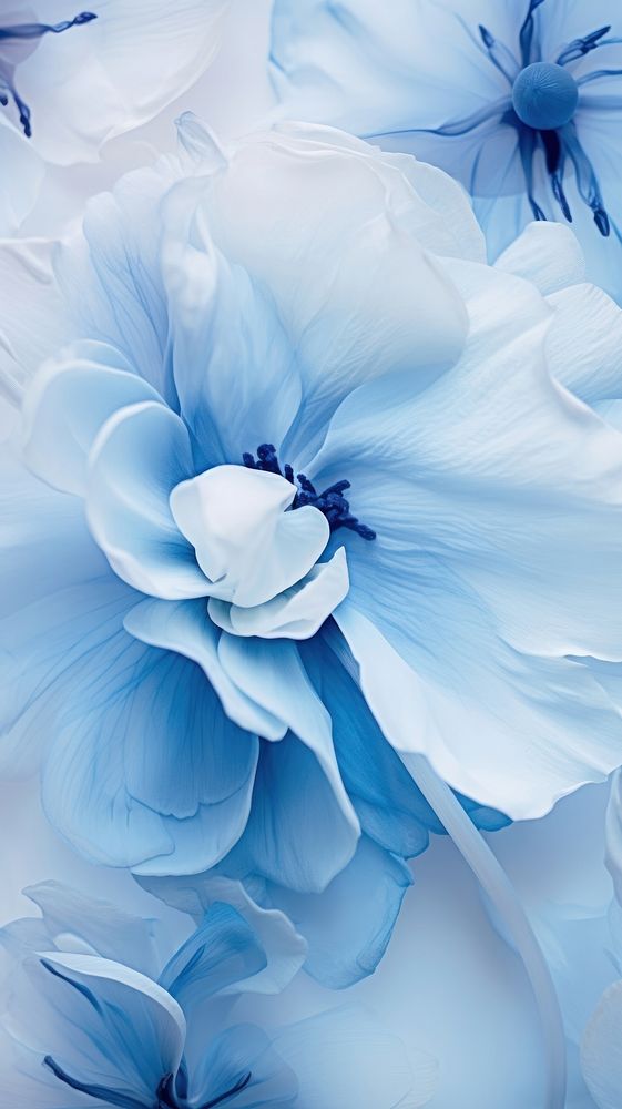 Blue flowers wallpaper abstract nature petal.