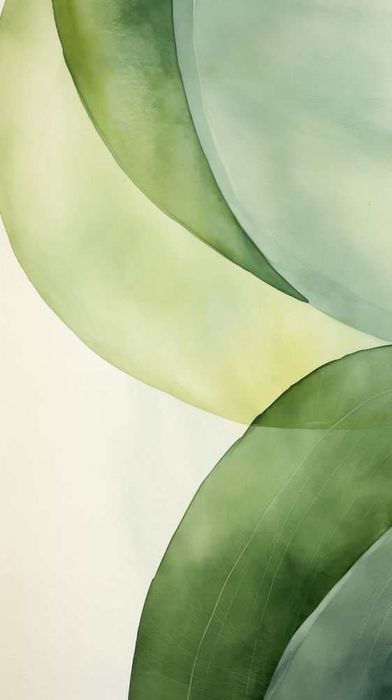 Green leaf abstract plant backgrounds.