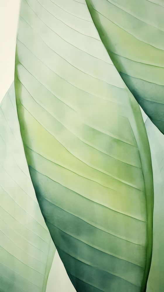 Green leaf abstract texture plant.