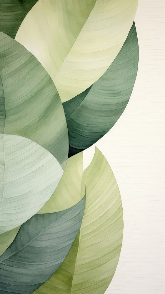 Green leaf abstract plant backgrounds.