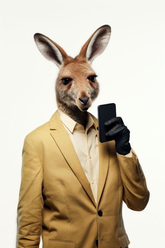 Kangaroo making phone call kangaroo animal mammal.