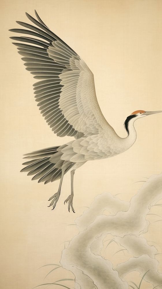 Flying elegant cranes painting animal bird.