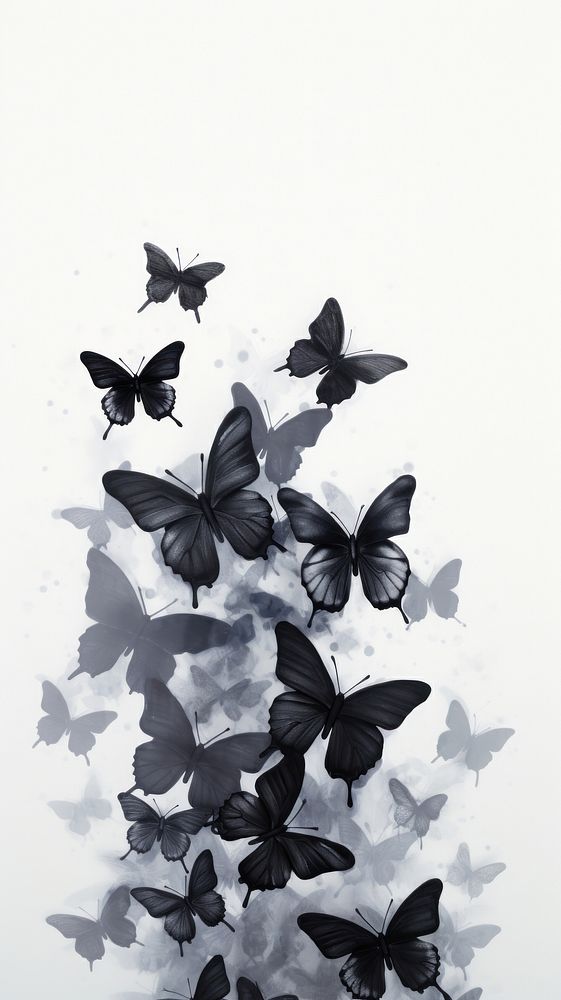 Black butterflies animal flying petal.