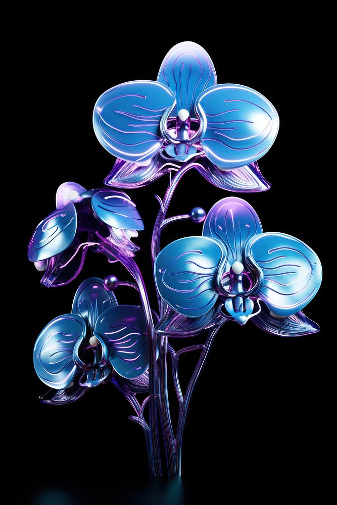 Orchid flower purple violet.