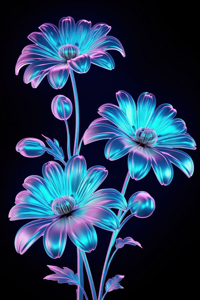 Daisy flowers pattern violet plant.