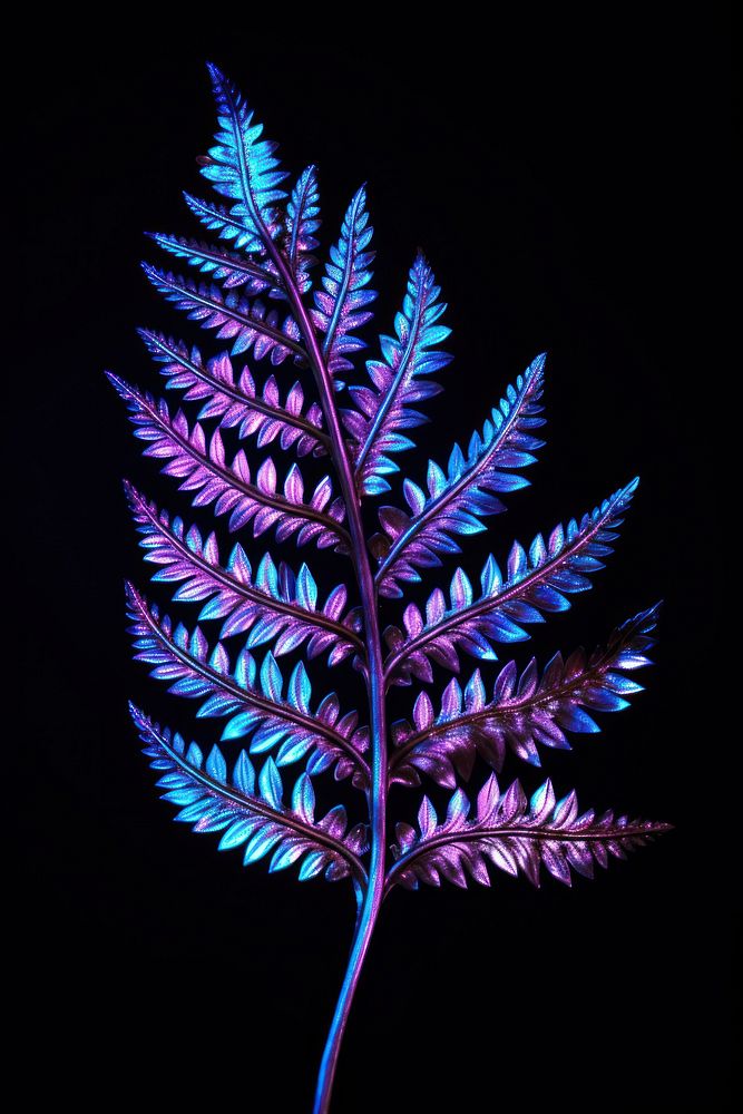 Fern leaf violet plant accessories.