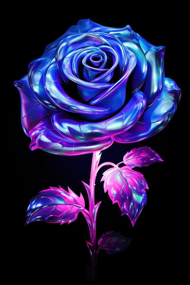Rose flower purple violet.