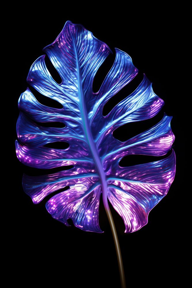 Tropical leaf purple violet petal.