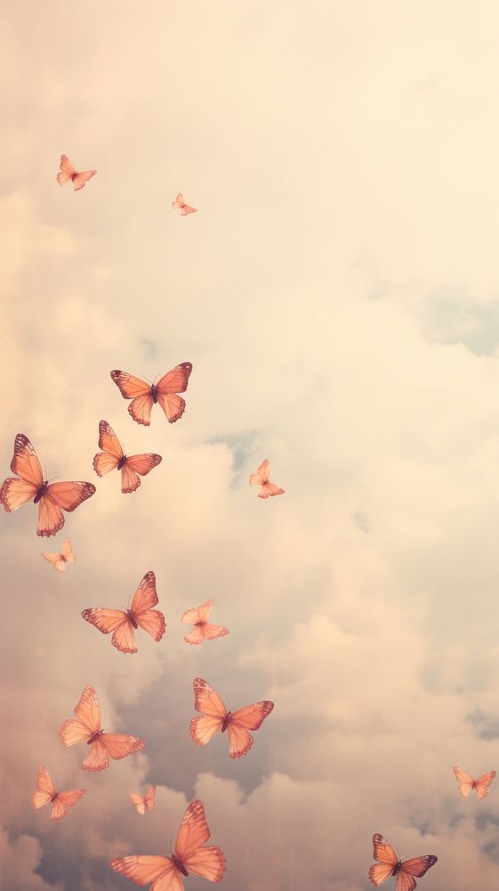 Butterflies flying through a cloudy sky butterfly outdoors animal.