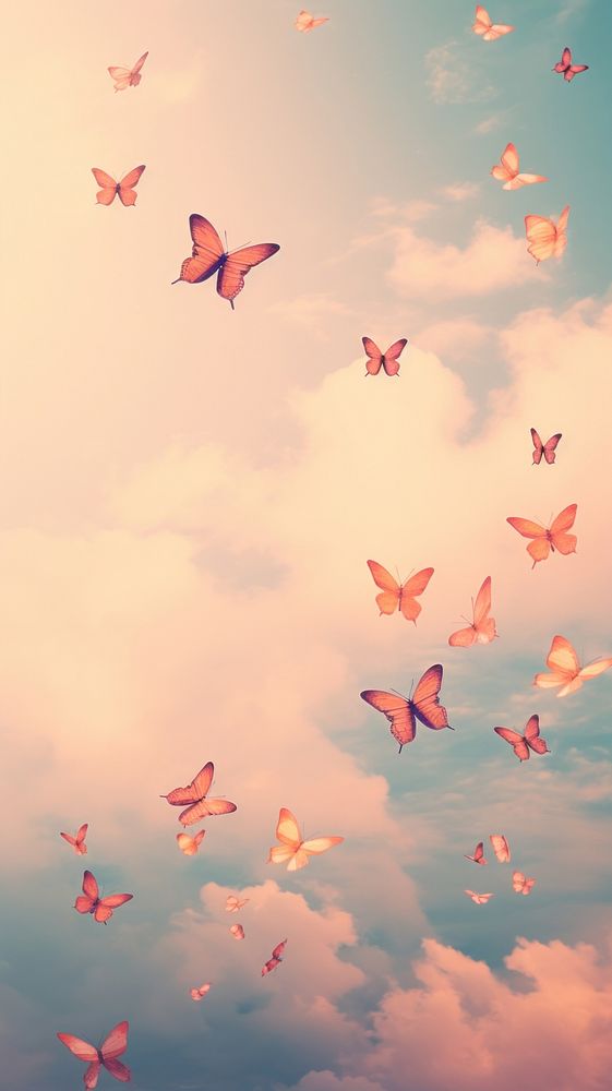 Butterflies flying through a cloudy sky backgrounds outdoors nature.