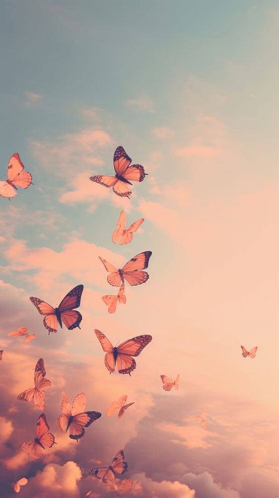 Butterflies flying through a cloudy sky outdoors nature pink.