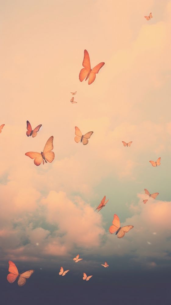 Butterflies flying through a cloudy sky outdoors nature flock.